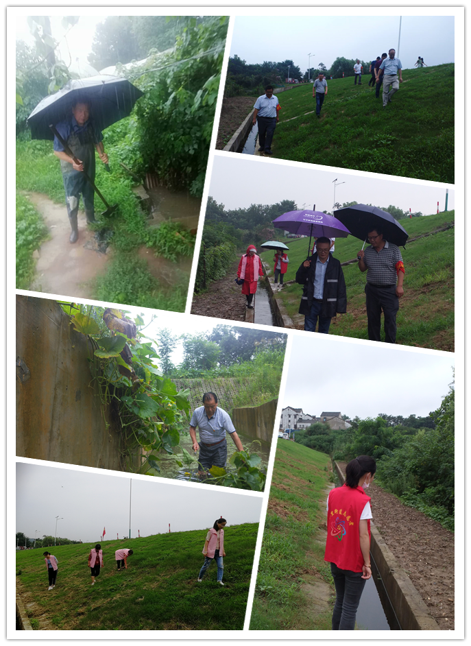  防汛抗洪丨荊劉村：同降雨拼速度，與汛情作斗爭
