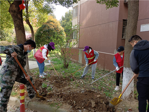 馨康苑社區(qū)開(kāi)展“牽手共建”綠化修補(bǔ)行動(dòng)