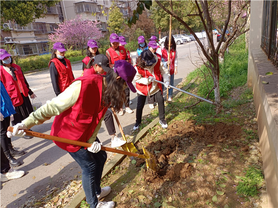 馨康苑社區(qū)開(kāi)展“牽手共建”綠化修補(bǔ)行動(dòng)