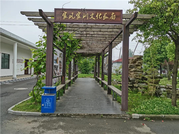 湖熟新農(nóng)村 奮斗再出發(fā)丨楊柳湖社區(qū):以紅色傳承 助魅力楊柳