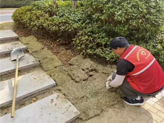 石埠橋村社區(qū)殘疾人之家:草皮資源再利用 即節(jié)資又改善環(huán)境