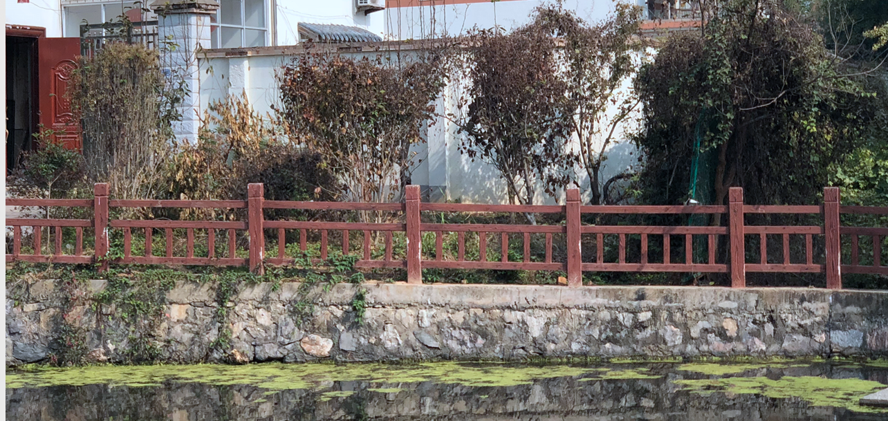 池塘邊的集體土地被人用來栽種果樹，還設(shè)置了柵欄。南報(bào)融媒體記者胥欣攝